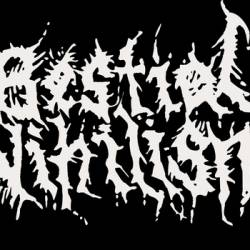 Bestial Nihilism : Demo